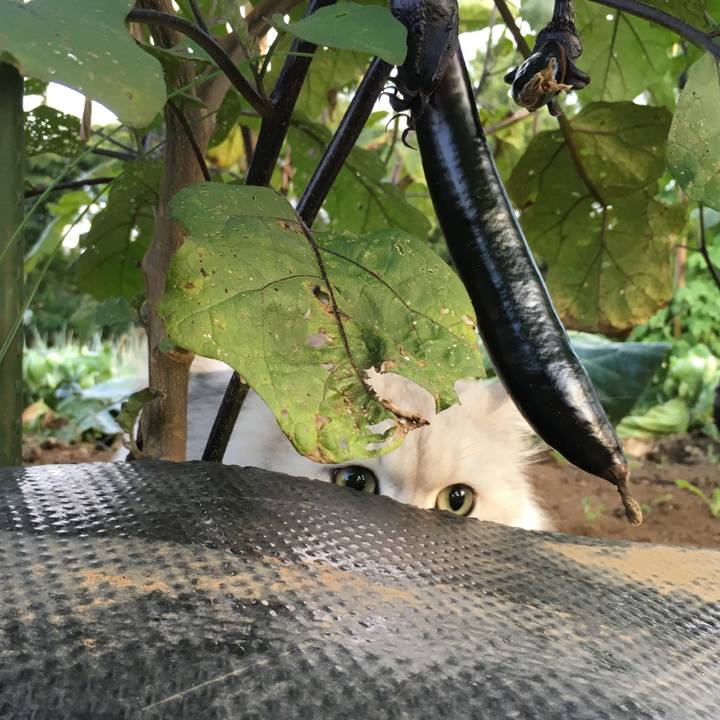 5a462dfb 2aff 4036 8fa3 46bbbda15179