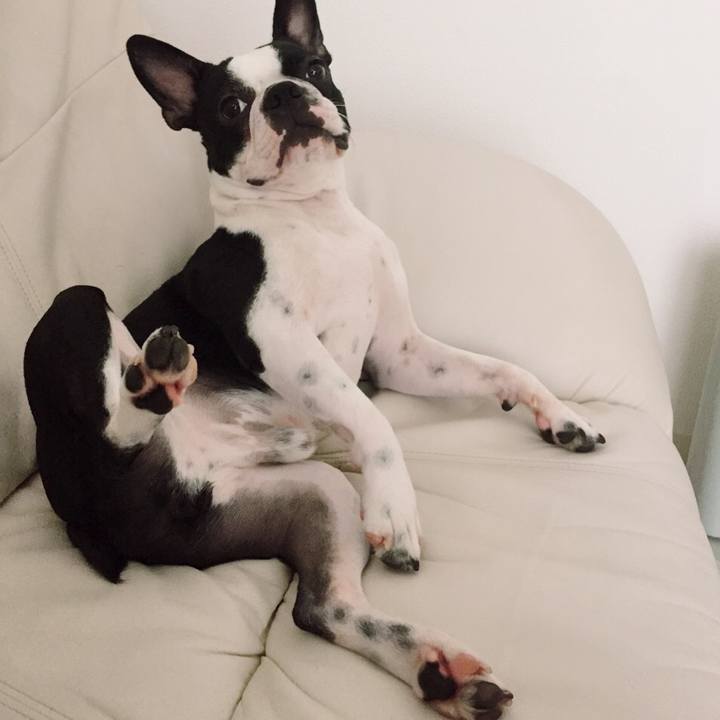 5a46778b 8baa 46f1 ab89 31bde2552101