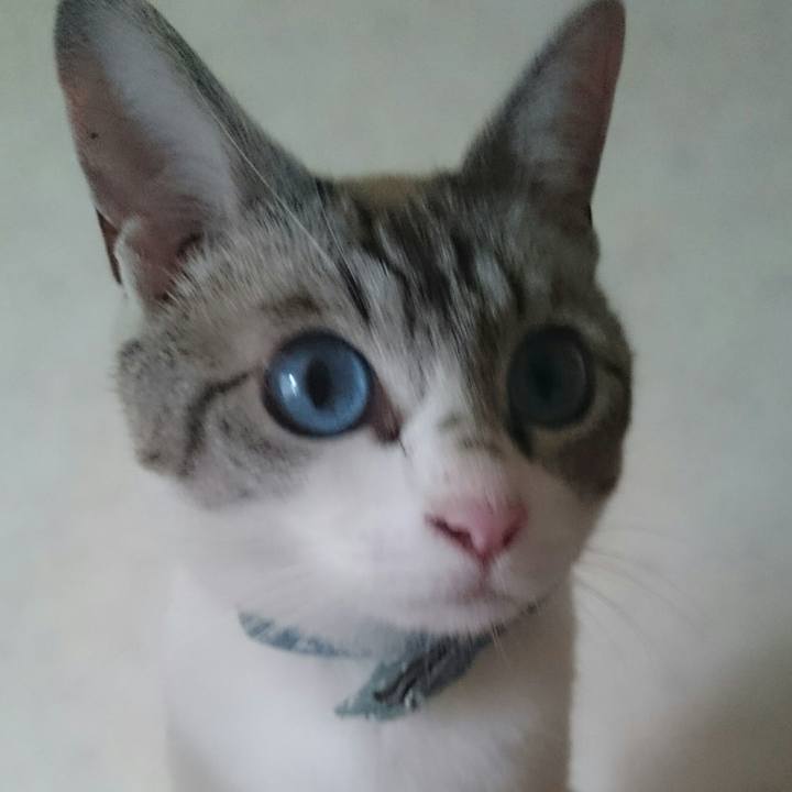 5a46ccff 137b 4d12 b160 6f0fdfb307aa