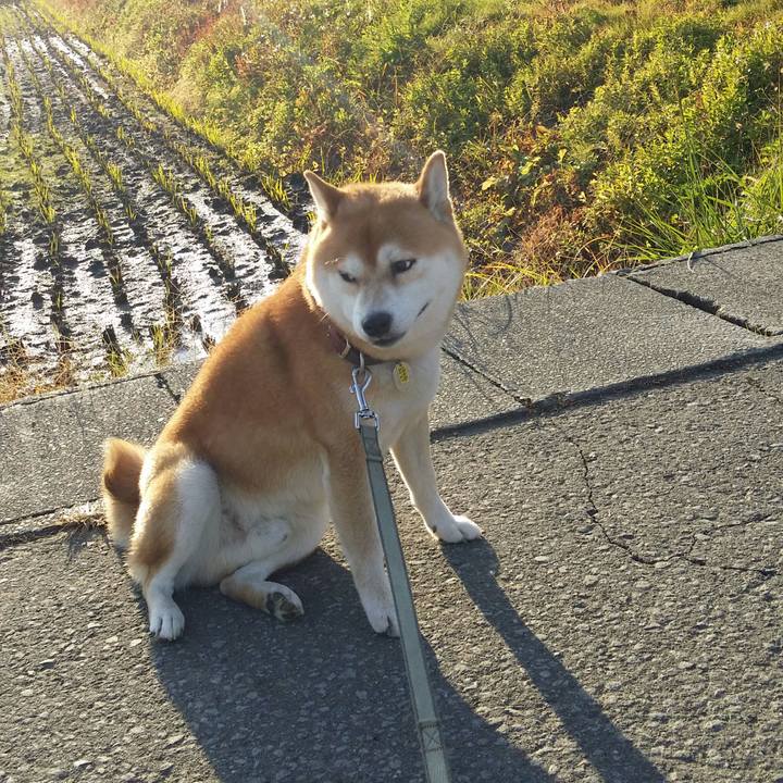 5a46d267 c17a 4361 8c9f bf33d2ad00f1