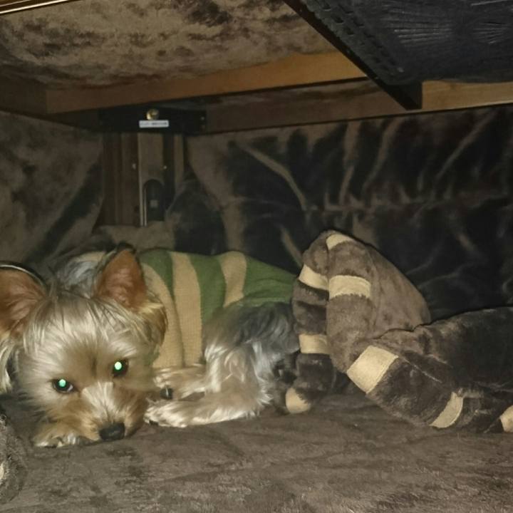 5a47f152 3221 4c65 ad3d 00ef1c83275e