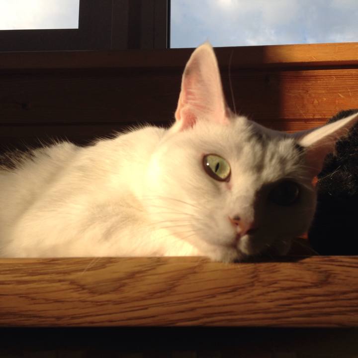 5a489d72 2449 4df5 af63 b1b216a3dd59