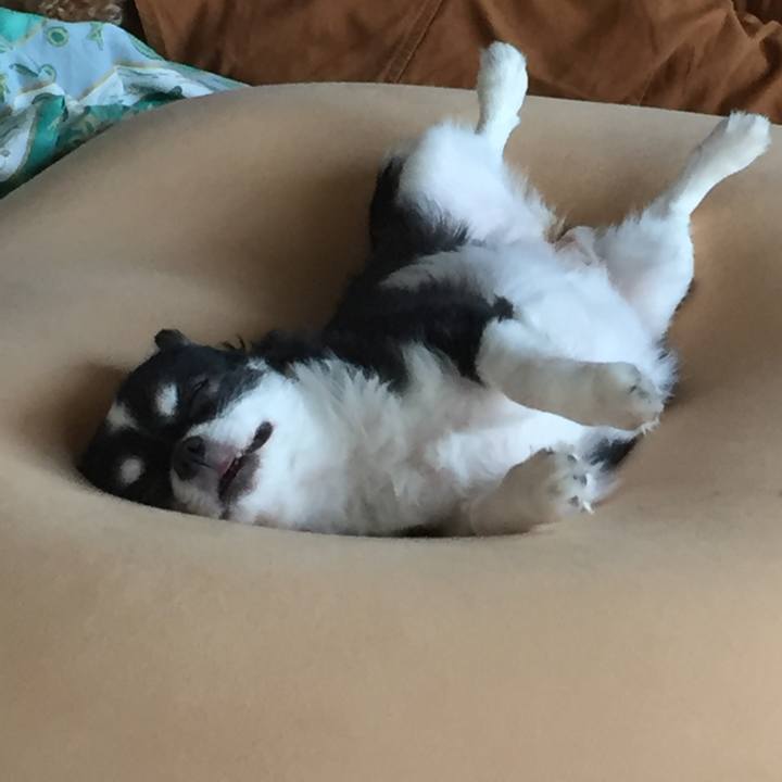 5a48c362 2e33 4fb5 8a7e b2caf70c6f22