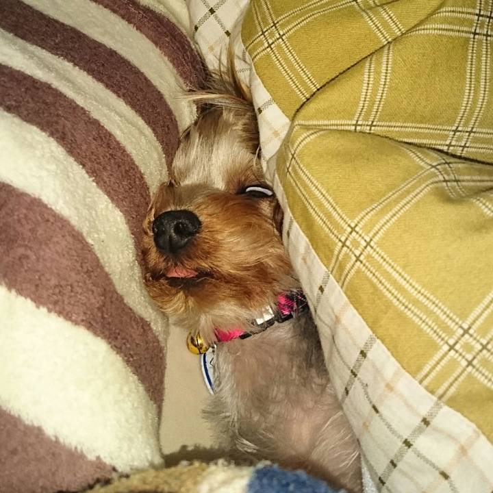 5a496b6d b371 4991 981e fa9bf8e2db36