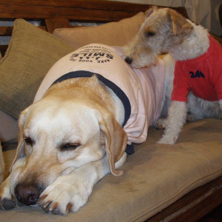 5a49a9a8 8460 400e 959b 43214e44e775