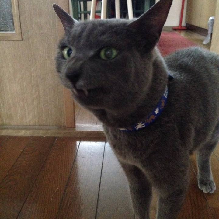 5a4a00d1 212d 44b0 a1d8 9c37f250a675