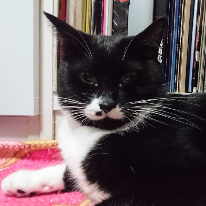 5a4acd58 105c 47fe 8296 d5d25de80122