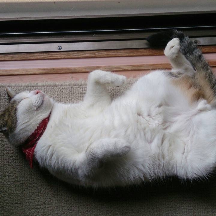 5a4b0bc5 fe72 42c7 92e8 8ec394cfa8bc