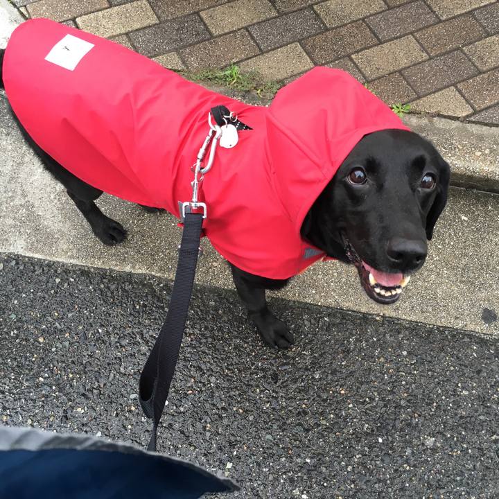 5a4c0fc7 8f58 401e b438 ac83b7c527df