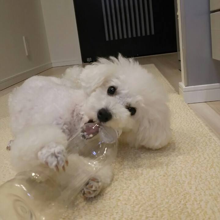 5a4c1e33 4ddf 49e9 bd88 09775597e7f7