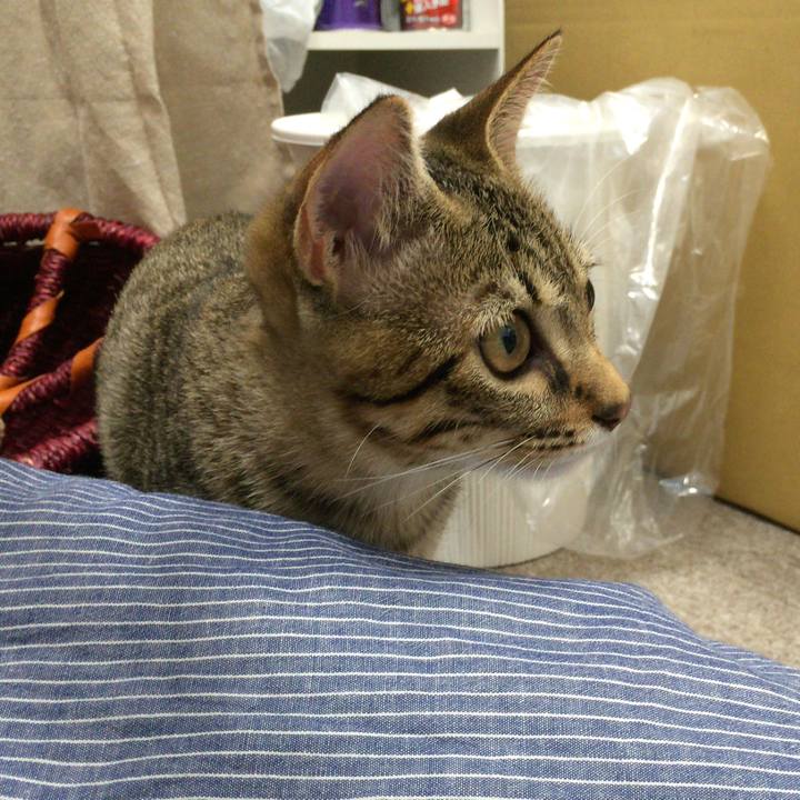 5a4c91c7 fcc4 45f4 b4a9 a63a14e5a611