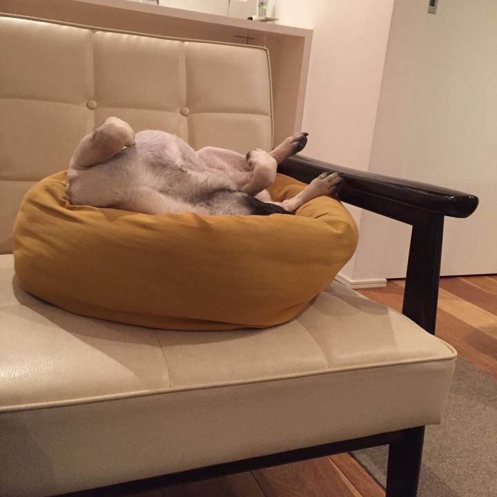 5a4f5303 6678 40aa accf c4fa9c157494