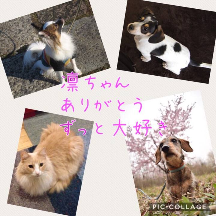 5a4f80bf e154 47cf bc02 d0d14fe88c1c