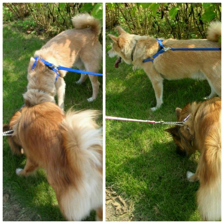 5a4fa0a4 4ebd 4ee7 bbb8 4cf795fdaaa5