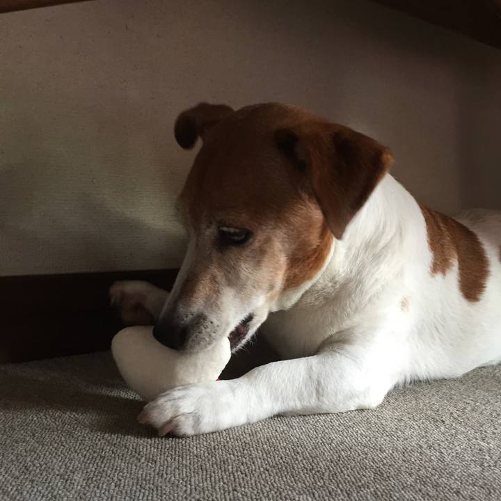 5a500627 e0af 4353 b516 3ce559f1637a