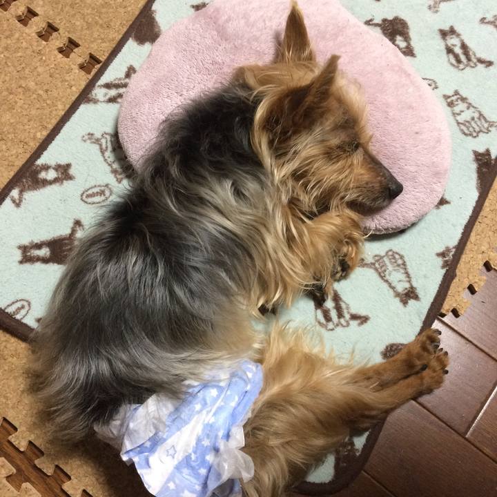 5a501b8b 5228 446f 8326 48c546031623