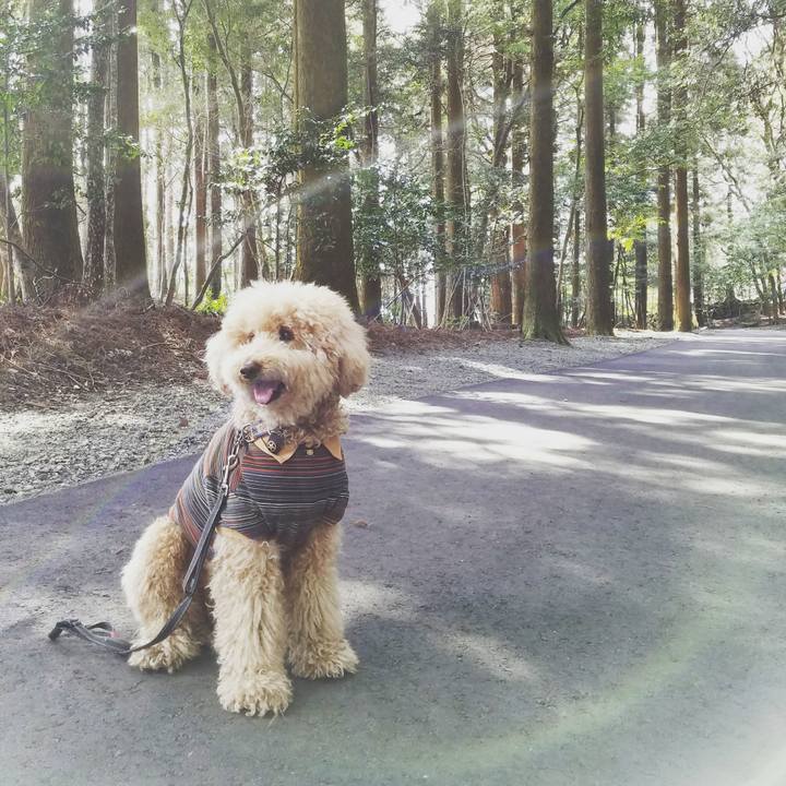 5a5082d7 3eb9 4ce1 988d da866e3e23d5