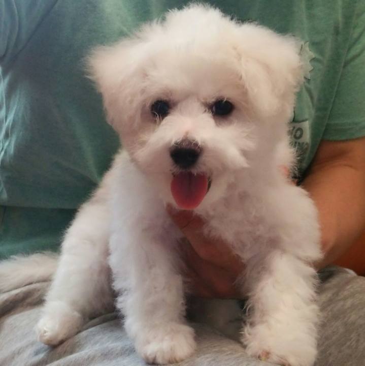 5a509289 c7fe 4197 b736 83cd9e0f97a8