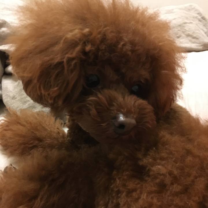 5a51e12e 8cfc 413b 87e0 f11fb27e51ea