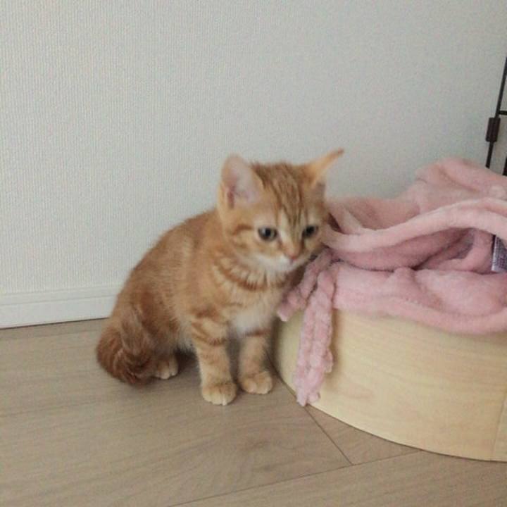 5a51e2e0 5edf 4f7b b62b 6056a220d97e