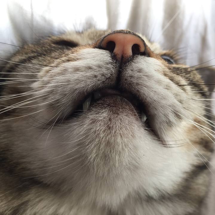 5a52b322 1562 4d67 948c ba1adb2680aa