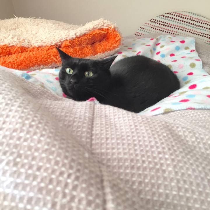 5a52bc27 416a 4fce 929c 68693b57634a