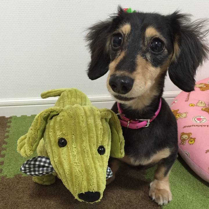 5a532f10 e08d 42d2 8304 23d2f6ec5fa6