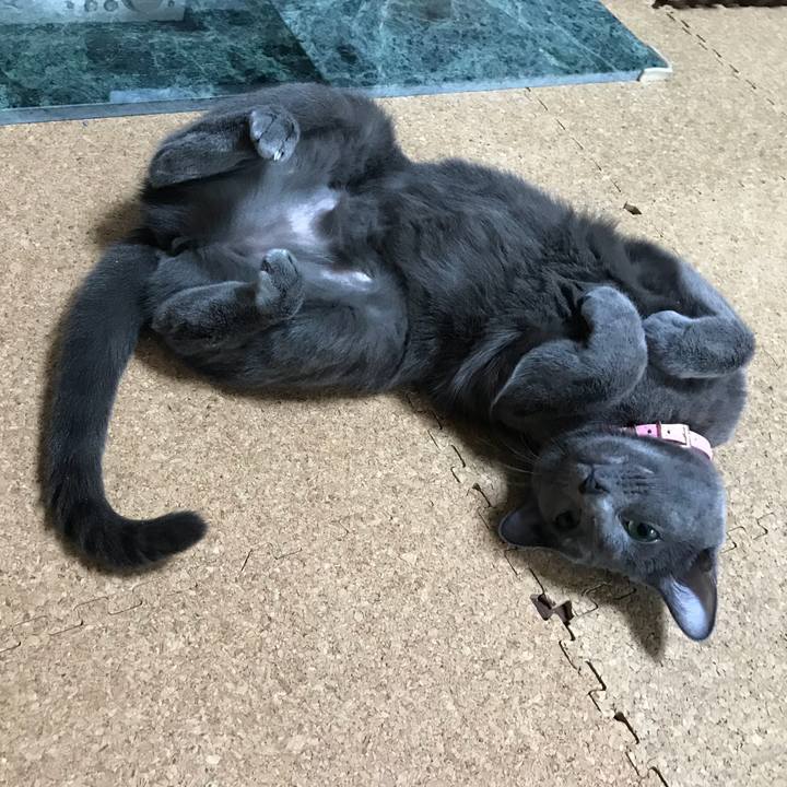 5a536f51 da6b 48db a69a 5b4c9fe7ecdb