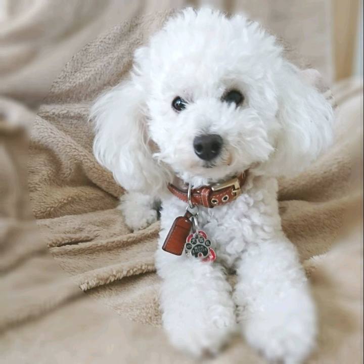 5a5391cf 89e4 48a4 9181 543f95b0a4d2