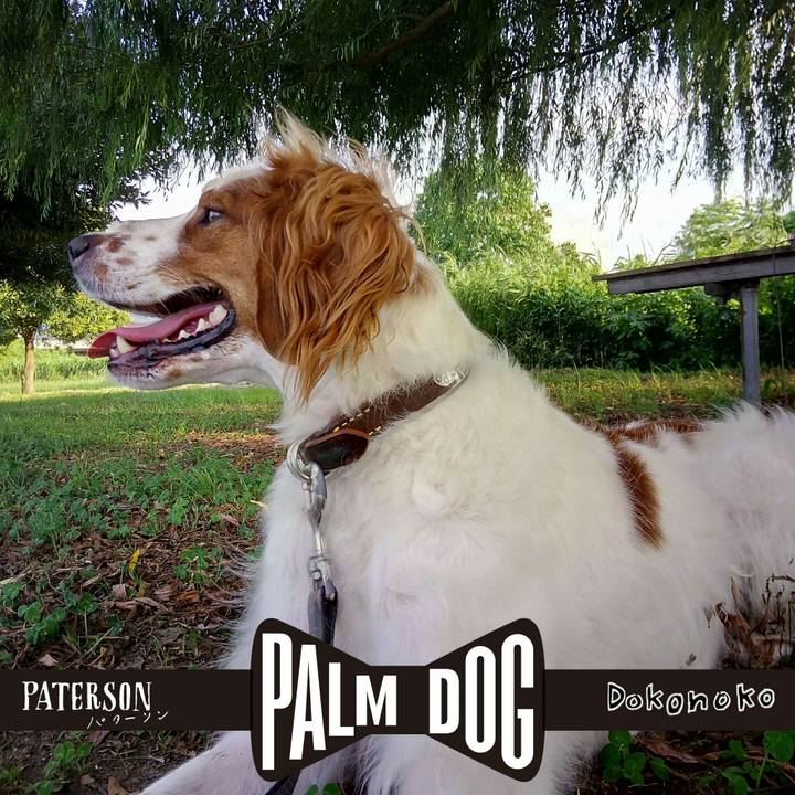 5a53981a fd49 4af3 9136 b862c43601e4