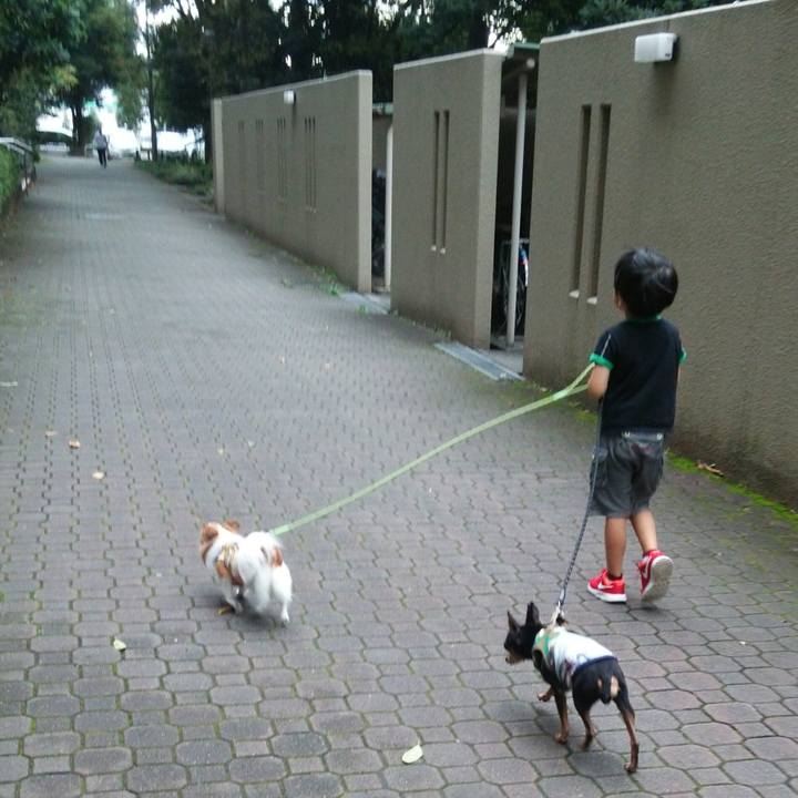 5a53f059 fb36 458d 9ef0 a6834459591e