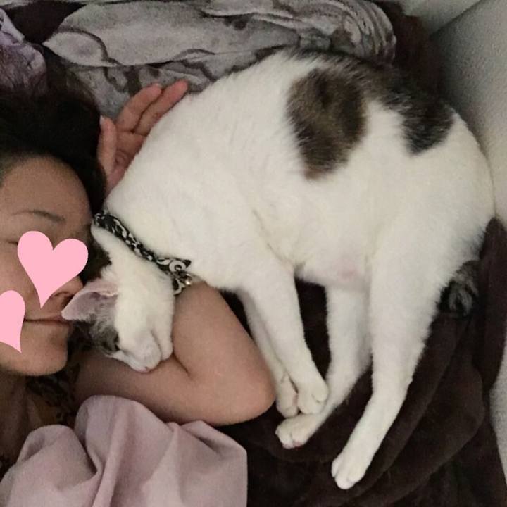 5a5415a6 d669 4aa4 9e32 3286d48c7343