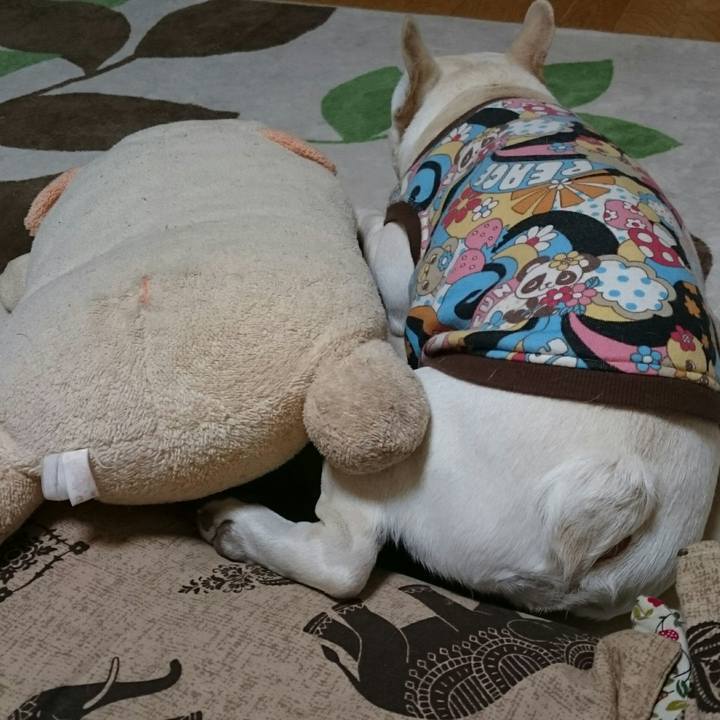 5a544a6c 37da 42d3 bb65 c925ed9a19d2