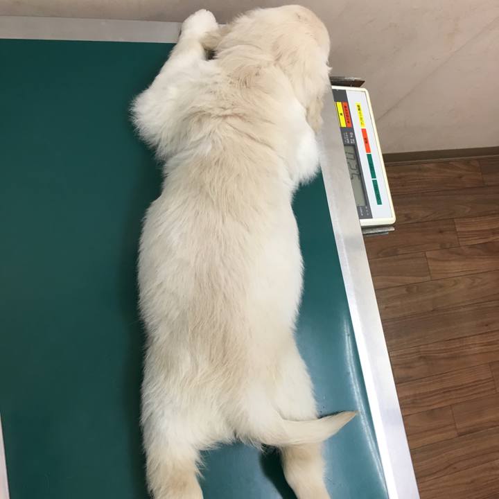 5a5481f5 3d95 48a3 9c04 659df87e0beb