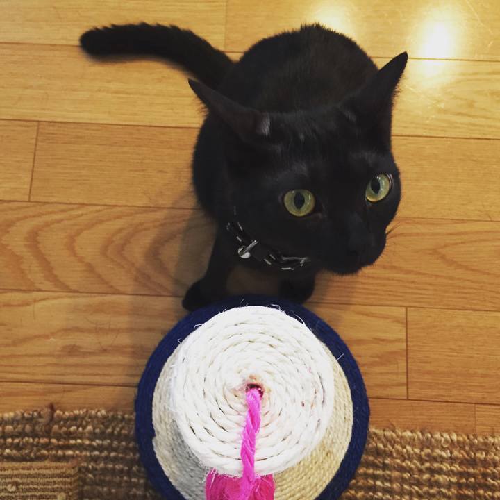 5a549511 651d 463d bebb 0d6dbab0809c