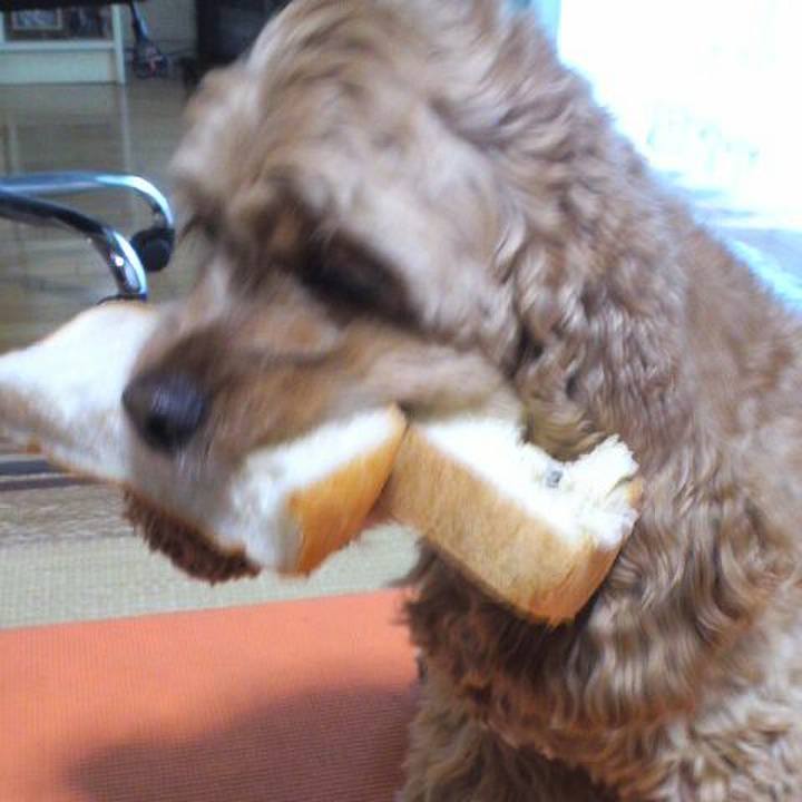 5a54ff6c ca05 460f b951 18cfc9ca2033