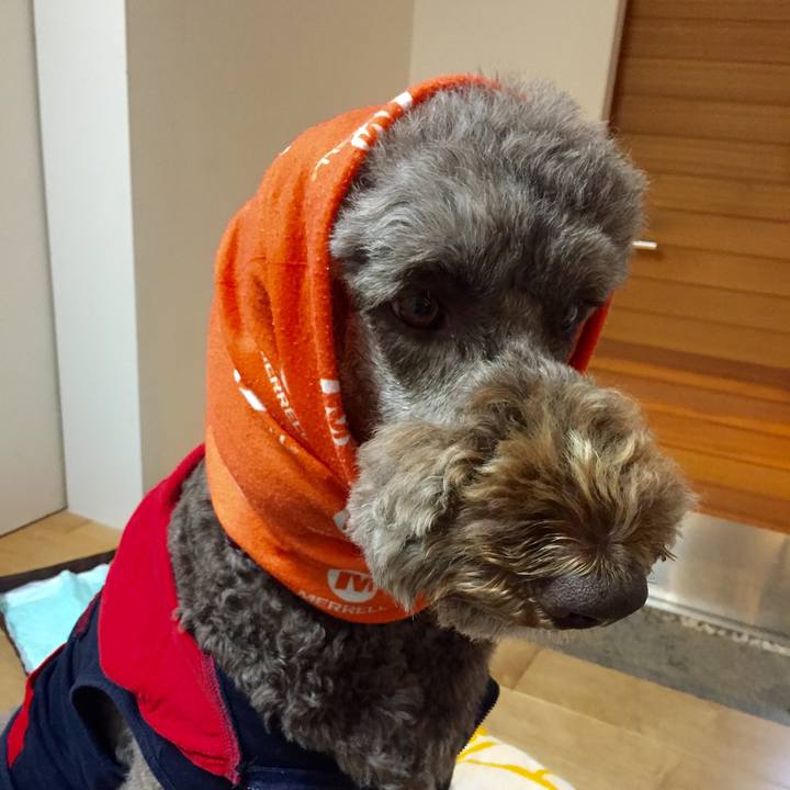 5a55480e 3934 4d18 974e bb71e8ebb65c