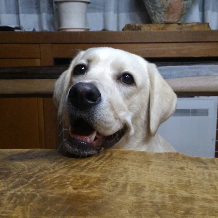 5a561954 dc67 462f bcd6 7dfa5926dad4