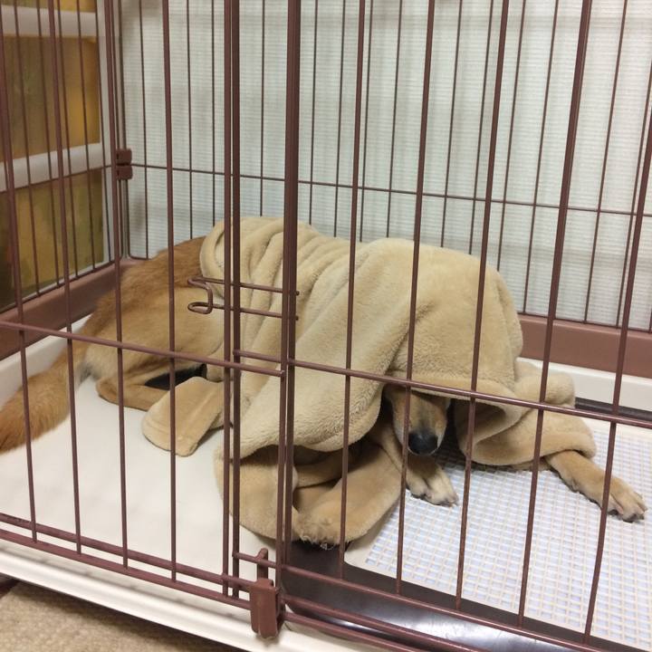 5a56fa0f 4e3e 4a03 a301 12daaa531521