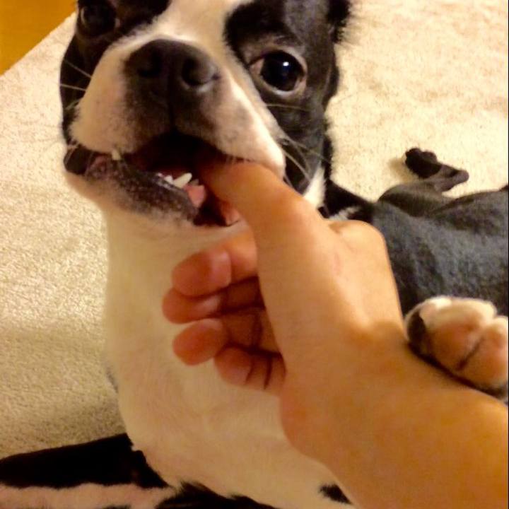 5a587893 588d 45ab b6c4 33485ee9cf89