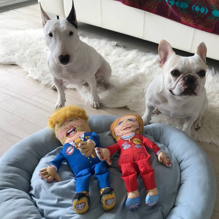 5a592e75 bf73 4321 8170 4f5386f6434c