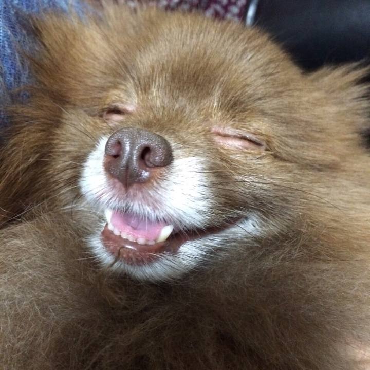 5a5932fe 8243 42f2 a8c0 82fb76a655f3