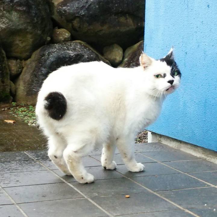 5a598b19 4ed4 4019 a16b d94de60429be