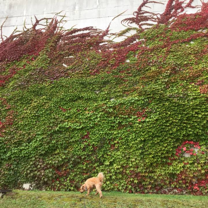 5a5a527c 47d6 44df b6a0 57db31db63ce