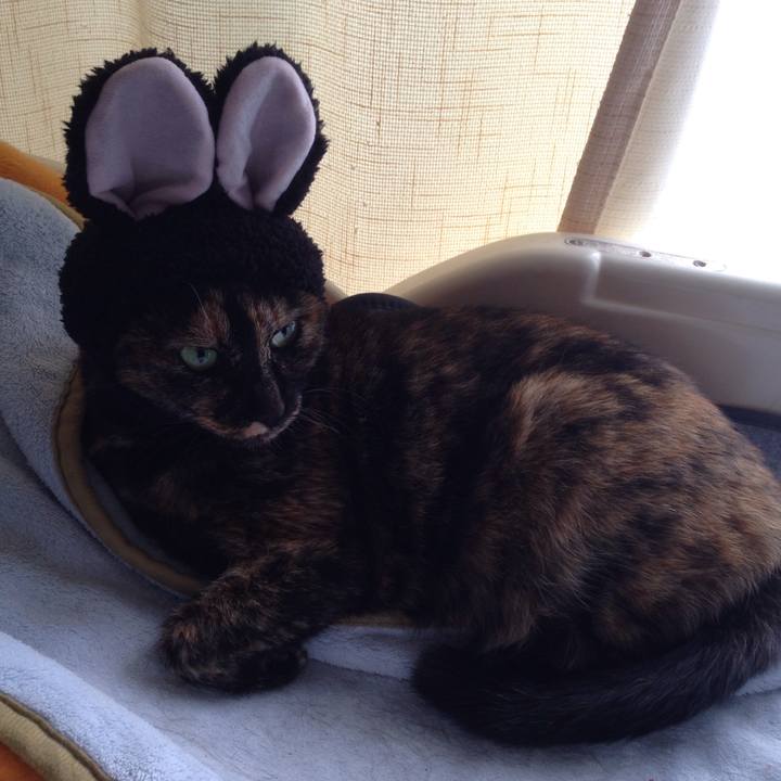 5a5a5565 06aa 4ccc b013 f0d074e5cfd7