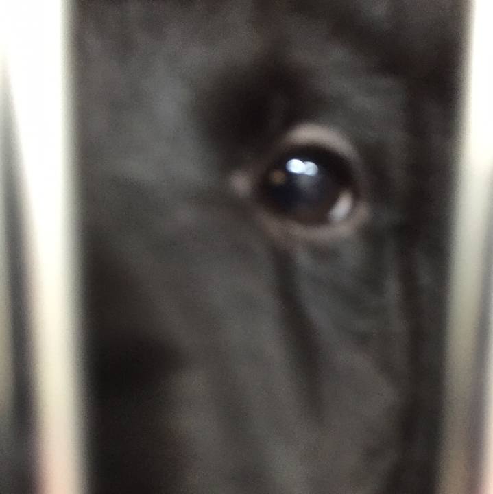 5a5ae976 5145 467a af38 5975904b6f7a