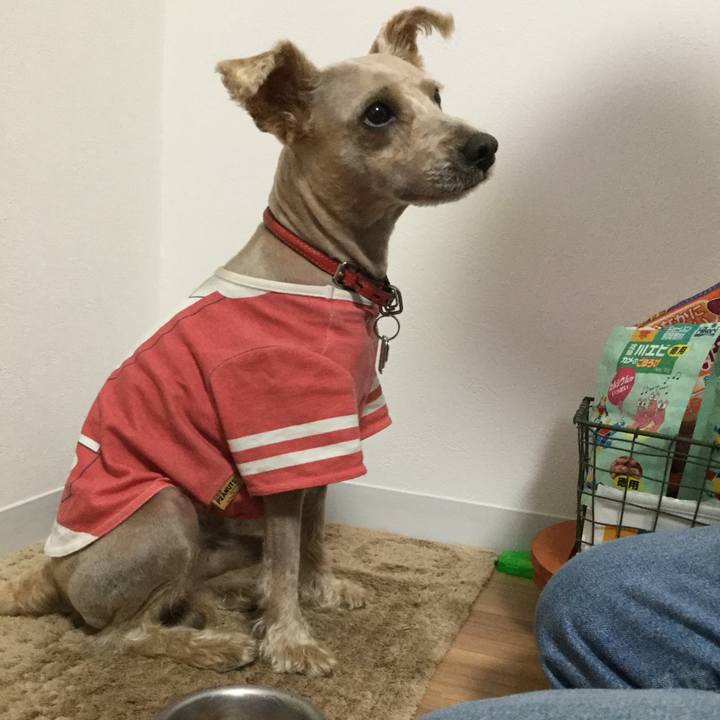 5a5b139c 7ec1 48db b18c 4c3758cbf9fd