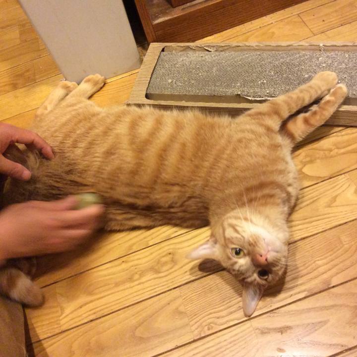 5a5b6afa 8959 40dd b0e4 4faf3b91d69d