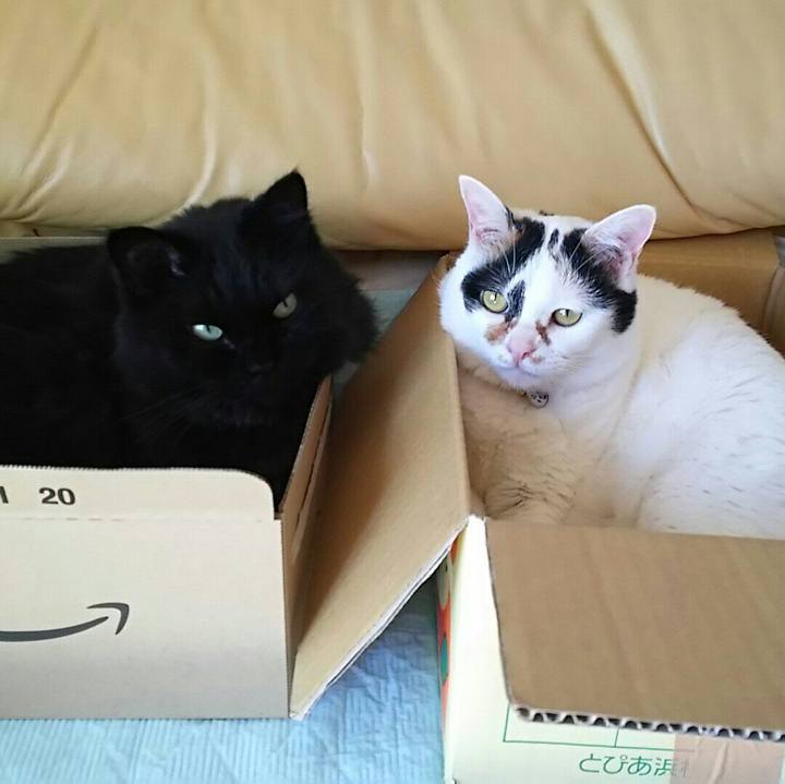 5a5b8191 359d 4441 b75d d59afdfbcd9d