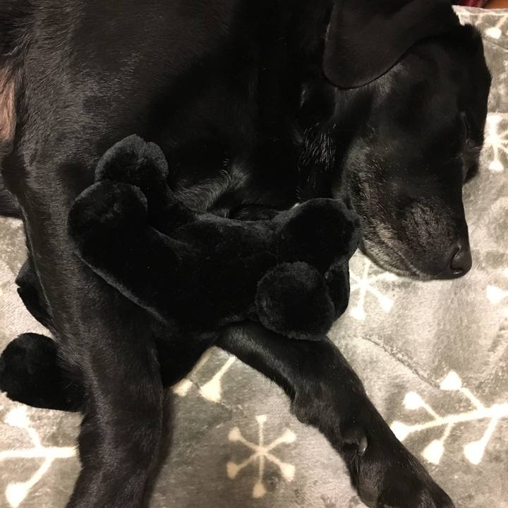 5a5b99c0 c404 4a56 9183 13fd4e7b5ee5